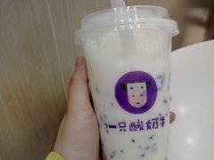 -一只酸奶牛(百联南岸上海城店)