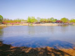 -永定河休闲森林公园