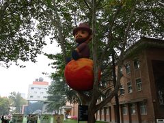 -西安电影制片厂