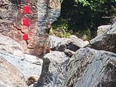 -石台牯牛降景区