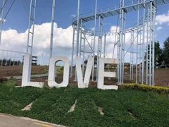 -北纬44度·金珠花海休闲农业旅游景区