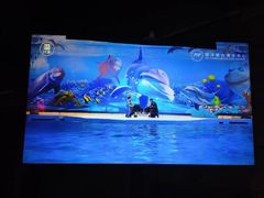 -太平洋海底世界