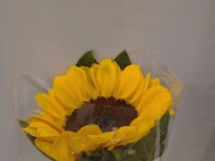 -鹿岛会员店 (龙湖三千集天街店)