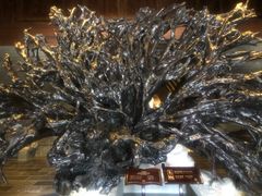 -乐山乌木文化博览苑