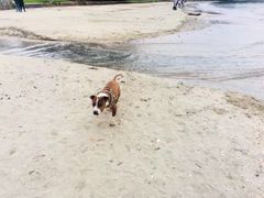 -Takapuna Beach Cafe