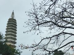 -南普陀寺