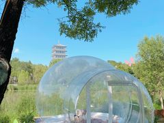 -Supine Bistro溯泮餐厅