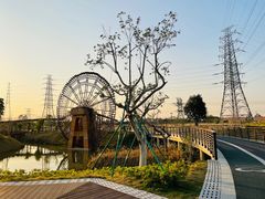 -王借岗森林公园