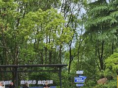 -横店影视城梦幻谷园区