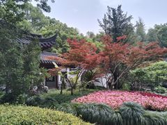 -汇龙潭