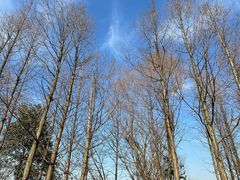 -梁鸿国家湿地公园