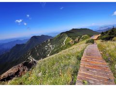 -白草畔自然风景区