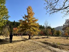 -塔川景区