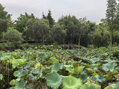 -厦门园林博览苑
