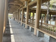 -西安曲江寒窑遗址公园