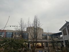 -九尺赵老四鲜鹅肠火锅