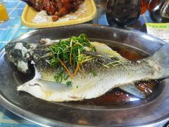 -石岐乳鸽村(南海第三分店)