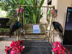 -西双版纳融创皇冠假日度假酒店