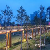 成都市区小众景点，向日葵花海。