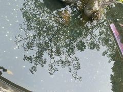 -天上圣妈宫