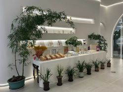 -紫琪尔·匠心连锁·胸部护理养护