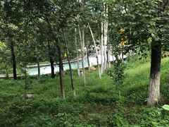 -十渡高山漂流