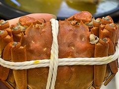 -蟹天蟹地农家菜·阳澄湖大闸蟹(浅水湾店)