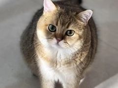 -嘉馨宠物医院·CT影像转诊·心脏科·犬猫全科诊疗中心(下沙大学城院区)