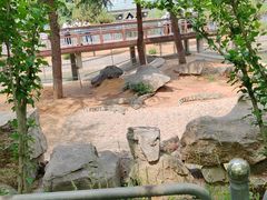 -石家庄市动物园