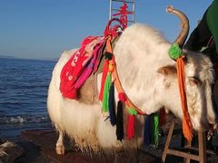 -青海湖国家重点风景名胜区