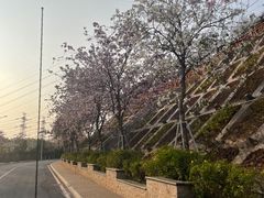 -小南山公园