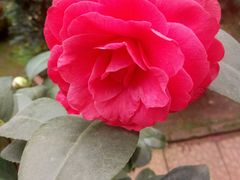 -宝泉胜境旅游度假区