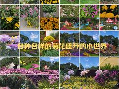 -共青国家森林公园-售票处