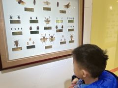 -上海昆虫博物馆