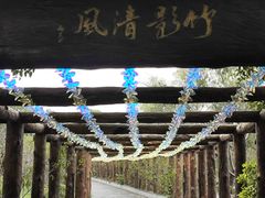 -南汇桃花村