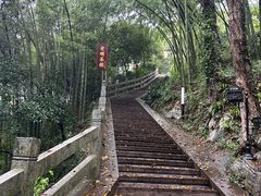 -龙井村
