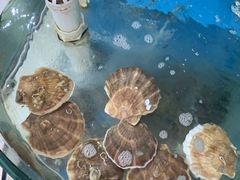 -聚德福海鲜家常菜(刘庄店)