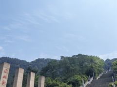 -铁山坪森林公园