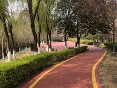 -西安汉城湖景区