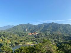 -深圳仙湖植物园-停车场