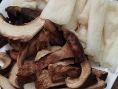 -蘑统田下·野生菌火锅