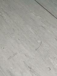 -上海市儿童医院(北京西路院区)