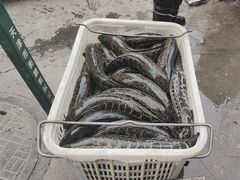 -胖子鱼·天水麻辣鱼火锅(秦州407店)