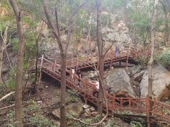 -大岭沟猕猴桃谷风景区
