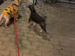 -万达广场(东莞厚街店)