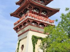 -中华郡文化旅游景区