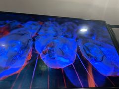 -木屋烧烤(万德庄店)