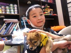 -逗柴咖啡屋·狗咖猫咖宠物桌游