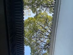 -绮园景区