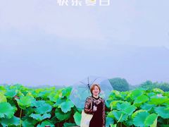 -梁鸿国家湿地公园